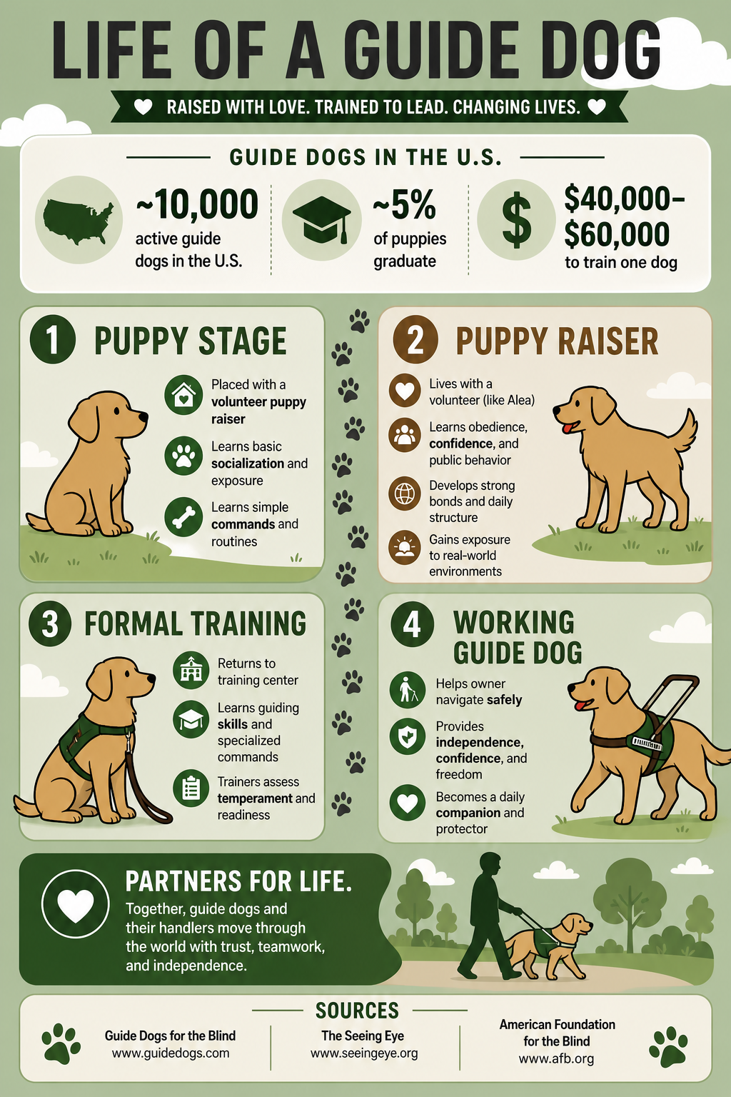Guide Dog Infographic